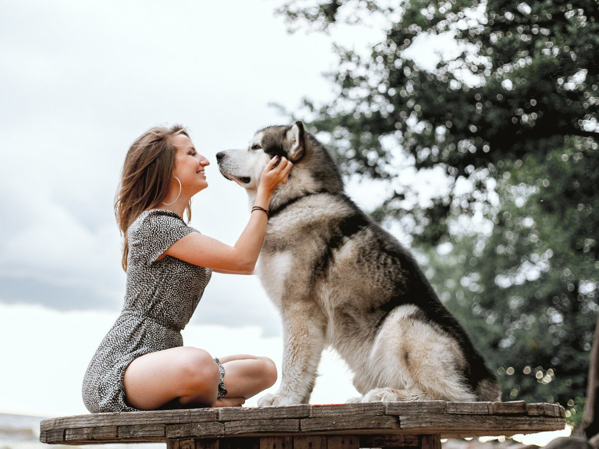 PetsCanadaorg's tweet photo. For over 30 years, PIJAC Canada has acted as the voice of the Canadian pet industry. Whether you have a dog, a hamster, or a bird, supporting PIJAC Canada means supporting the pet industry and the needs of your pets.
#dogsoftwitter #dogs #PIJAC https://t.co/3p0Shnk2xC
