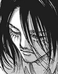 •If he said «no» it would be a lie because he is aware of how he feels when it is about Mikasa, he was not mentally ready to lie about his feelings that day .