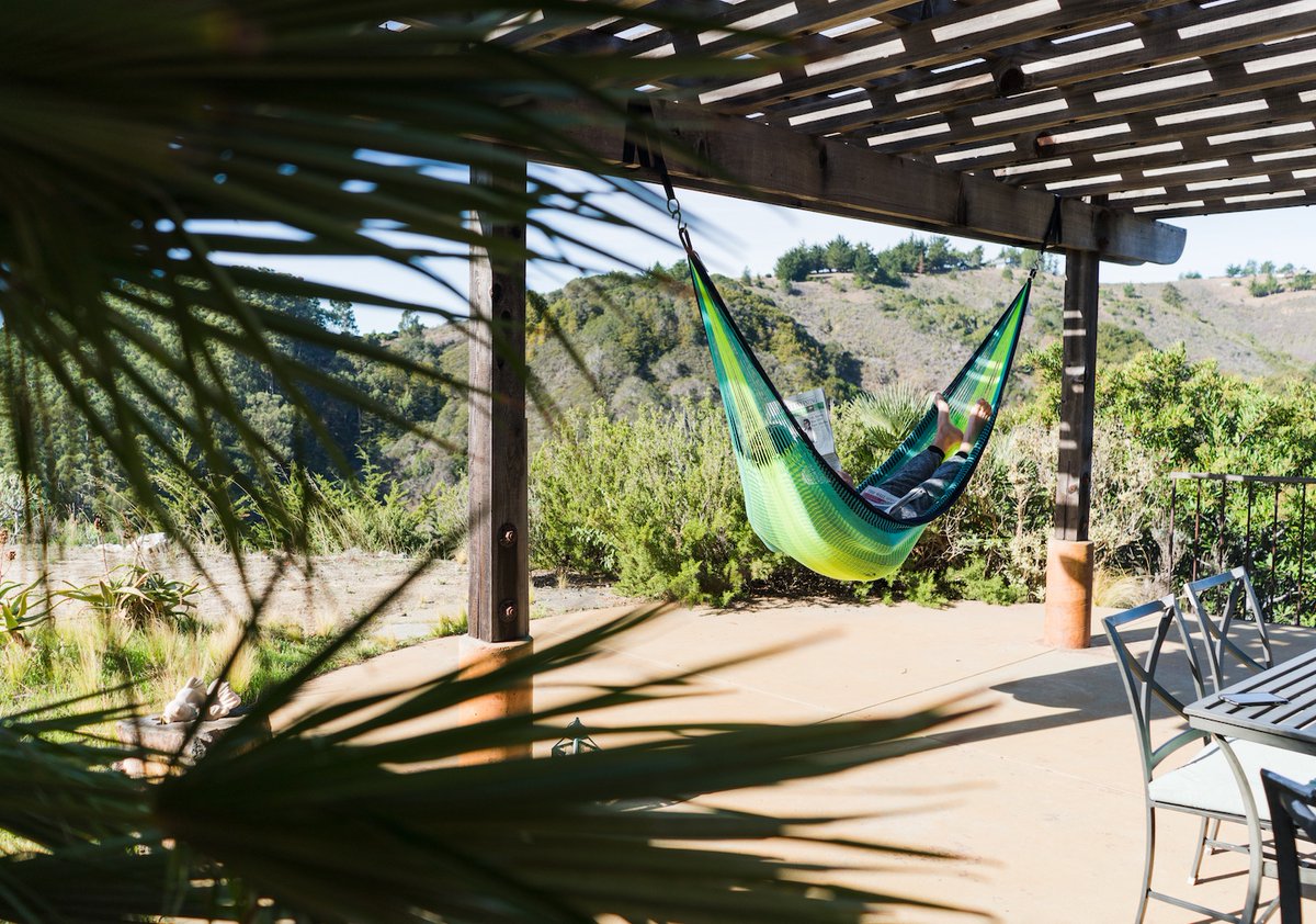 Yellow Leaf Hammocks tweet media