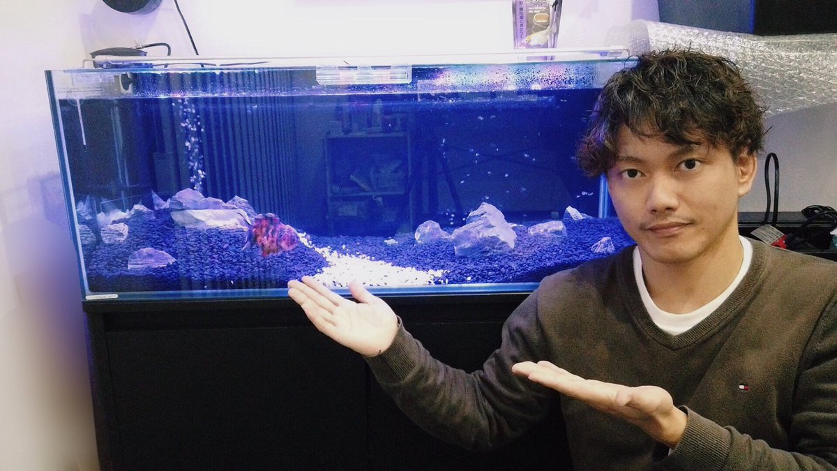 ひろたかchannel 初心者が本気で90 水槽立ち上げました T Co Qupdhnsijc