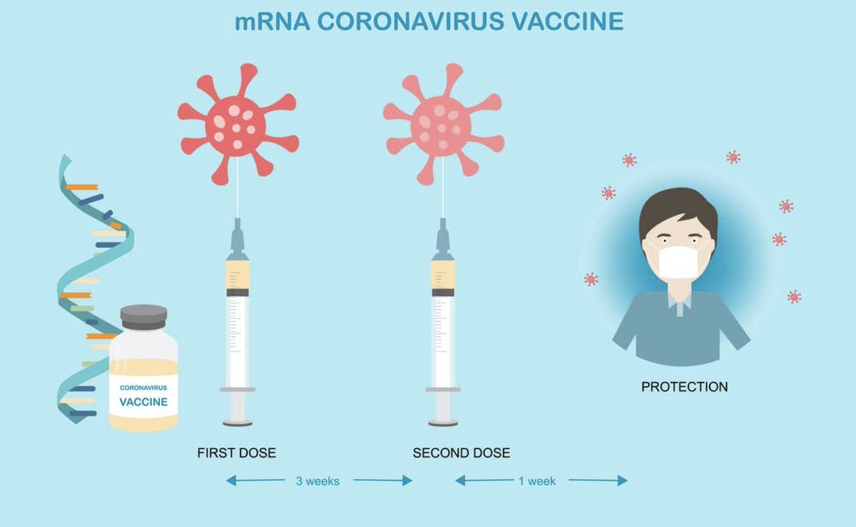 Retournons maintenant à  #Pfizer  #BNT162b2Pour ce vaccin il faut 2 injections : 1 vaccination intiale et un rappel 3 semaines après