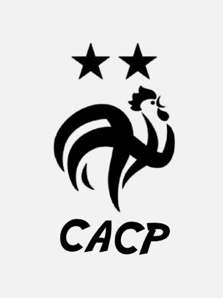 La CACP recherche des équipes sérieuses pour la saison 6.

7 Joueurs Minimum, tout obligatoire, GK Facultatif. 

3 matchs par semaine à planifier entre GM

Début de la compétition lundi 30 Novembre

Le discord ici pour vous inscrire
discord.gg/hRM6dhb

#clubpro