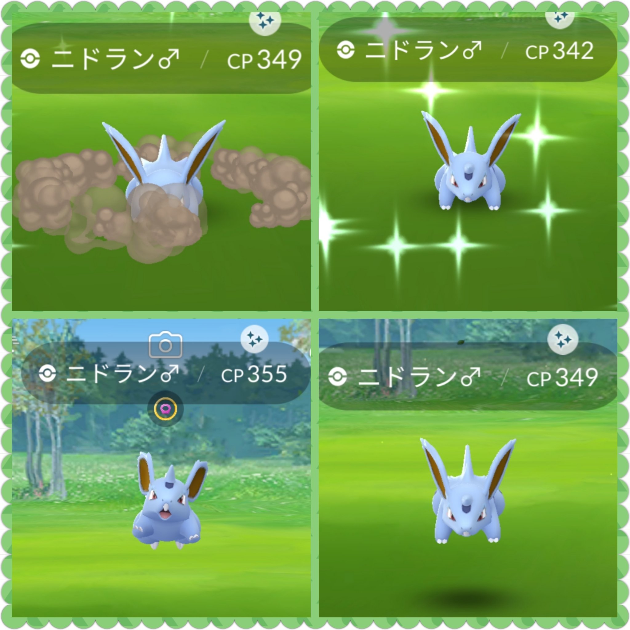 تويتر どんちゃん على تويتر ニドランのリサーチデイで ニドラン 色違い4匹get ニドラン 色違い0匹 偏り過ぎてませんか ポケモンgo ニドラン ニドラン限定リサーチ T Co Wzvxvo8nob