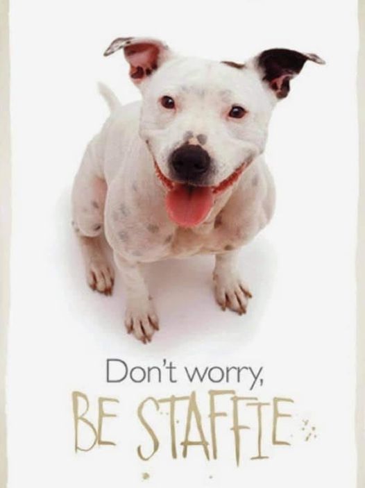 Just seen this on FB and nicked it 
Love it