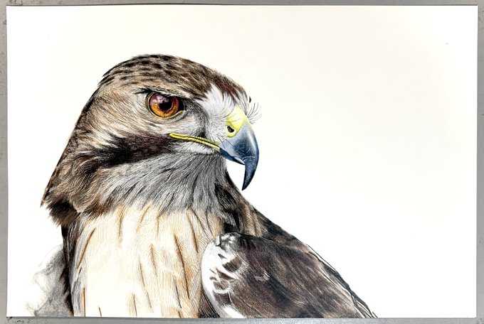 イロドリアルのtwitterイラスト検索結果