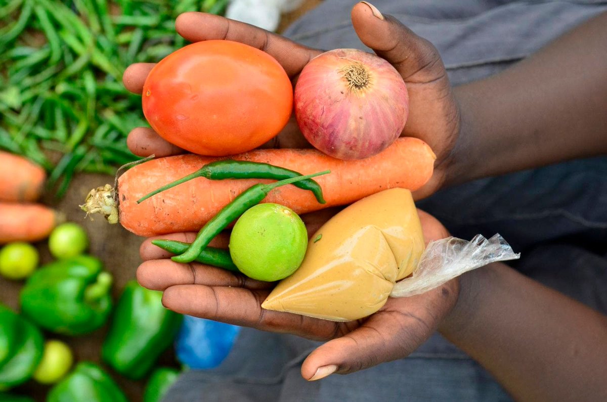 CGIAR_Data's tweet photo. 🆕#NewStudyAlert | A recent @PLOSONE study found that “monitoring nutrition may be a practical and low-cost way to impact vaccination outcomes.” @CGIAR Board Member & former @IFPRI DG @ShenggenFan explores the connection in a @Telegraph op-ed: https://t.co/8pkCQBv7fc #OneCGIAR https://t.co/LfAbR6jJKC