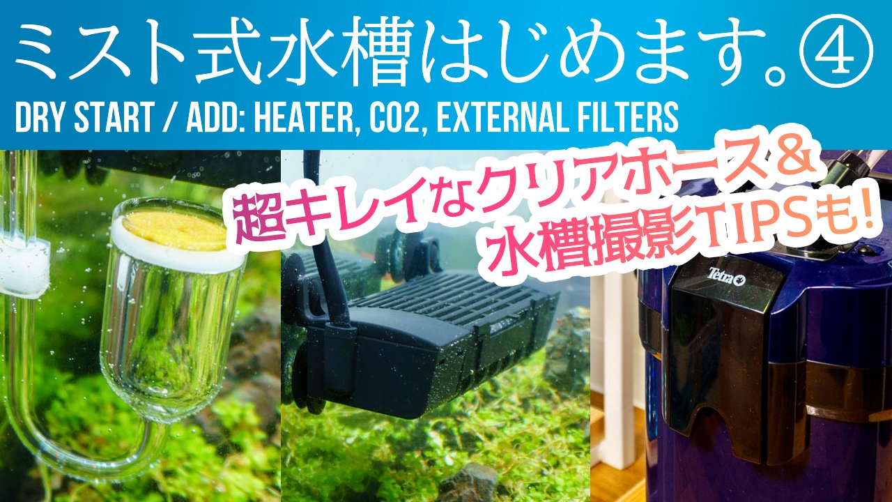 ビバアクア ミスト式でロータイプ水槽立ち上げよう Co2 ヒーター 外部フィルター設置 Ledが明るすぎて白飛びする場合の 水槽撮影テクニック アクアリウム 水草水槽 石組水槽 T Co Etdbjg1ran T Co Zs4kkhg9qj Twitter