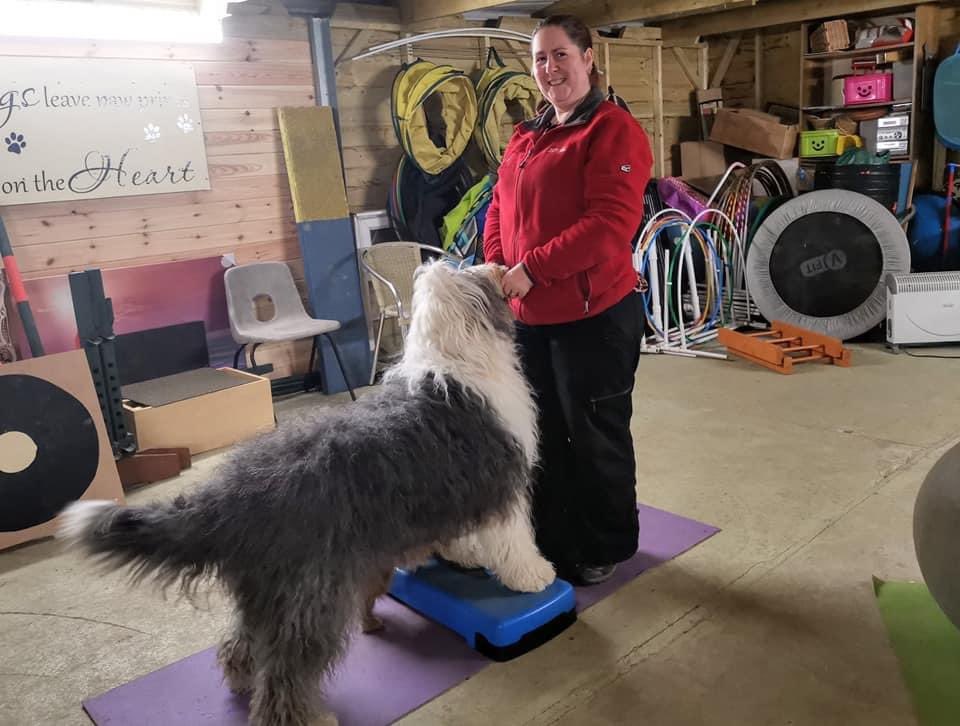 cassntay's tweet photo. Join us this afternoon at 4pm for our free mini Wag and Tone session via Facebook live - fun and gentle exercise for you and your dogs to do together. Come to the event page : https://t.co/JS9ZGxcAC4 #dogs #dogtraining #fitness #dogsoftwitter #fitdogs #StayHome https://t.co/en1VcxiAOs