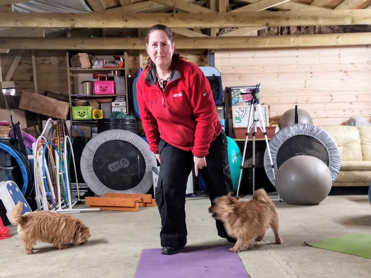 cassntay's tweet photo. Join us this afternoon at 4pm for our free mini Wag and Tone session via Facebook live - fun and gentle exercise for you and your dogs to do together. Come to the event page : https://t.co/JS9ZGxcAC4 #dogs #dogtraining #fitness #dogsoftwitter #fitdogs #StayHome https://t.co/en1VcxiAOs