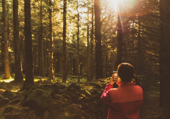 coilltenews's tweet photo. Looking for a thoughtful Christmas present?
The Coillte Access Card gives you unlimited access to any of the barrier controlled Coillte Forest Parks for one year.
Find out how to get yours here: https://t.co/h3kKwgcspN
#Recreation #WinterWalks https://t.co/sZDHFpgqN9