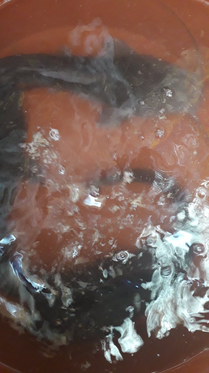 AQUAREIGNINDUS3's tweet photo. Formation en cours chez AQUAREIGN INDUSTRY, 

Module ALEVINAGE https://t.co/OQicxVVq4W