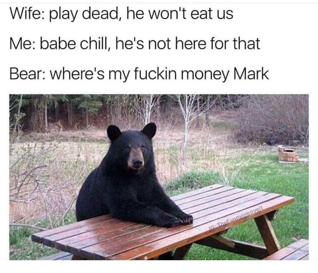 EdLatimore's tweet photo. This meme always makes me laugh. https://t.co/yBzsXlVmOt