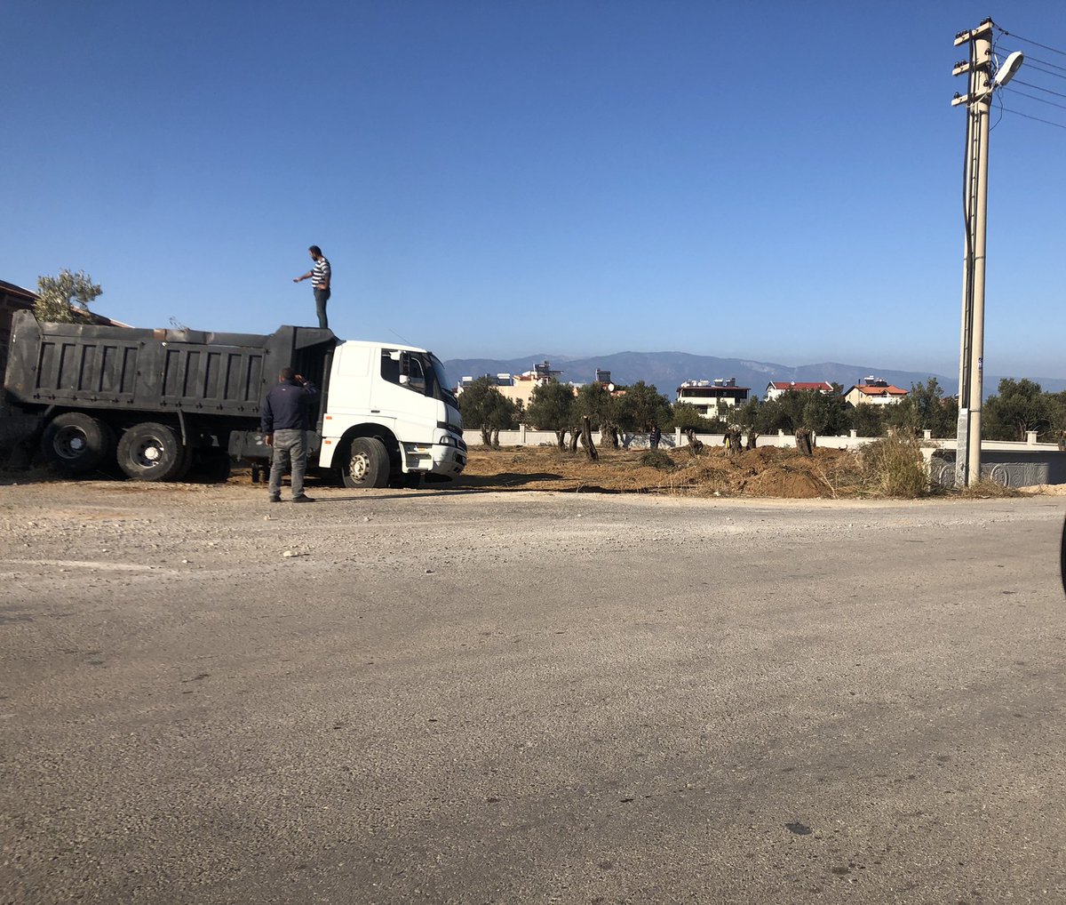 ekmekcib's tweet photo. Zeytin ağaçlarını kökünden söküp buraya inşaat yapmak isteyen bu firmaya bir dur demicek misin ? @BurhaniyeBld https://t.co/iSyypIWPS1