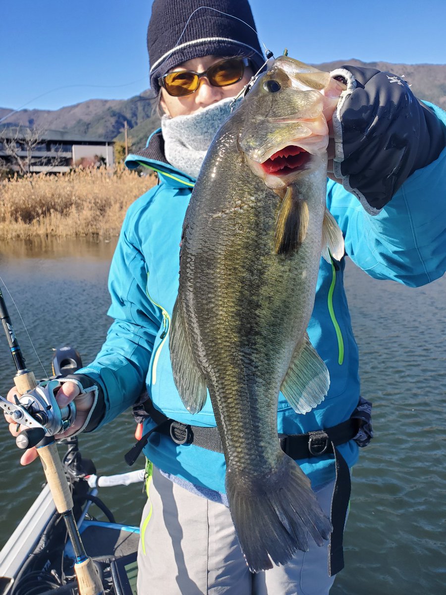冨沢 真樹 河口湖バス釣りガイド トミーガイドサービス 冷たい北風に苦戦を強いられた 本日の河口湖ガイド 中々難しい展開で スピナーベイトの巻きゲーム ディープメタルバイブでなんとか拾い釣りな展開でした