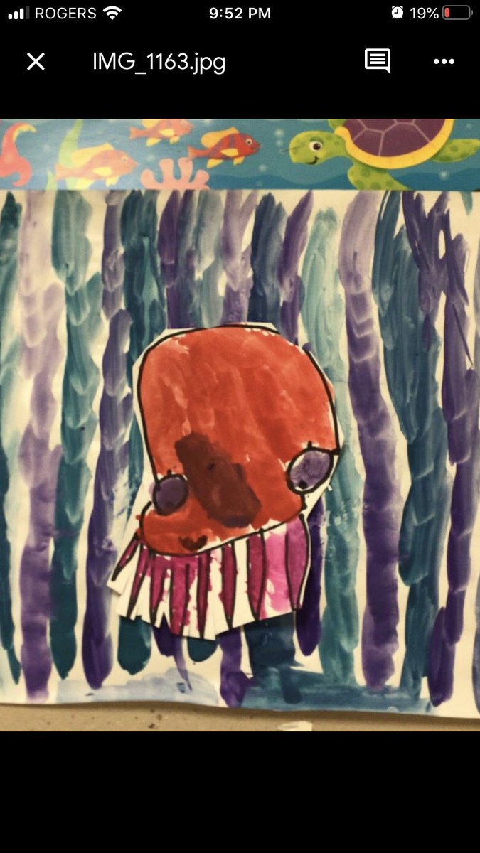 Kinder Room 208 tweet media