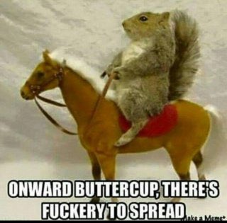 MelonPipSqueak's tweet photo. And with a change to the norm, I hereby declare it #JDOclock #ThereAreNoRules #NoYouFuckOff ππ»π https://t.co/wYgHe4MpD3
