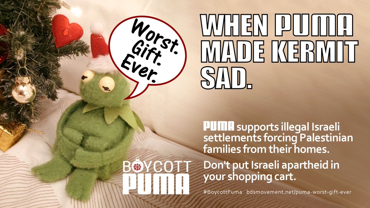 sad puma