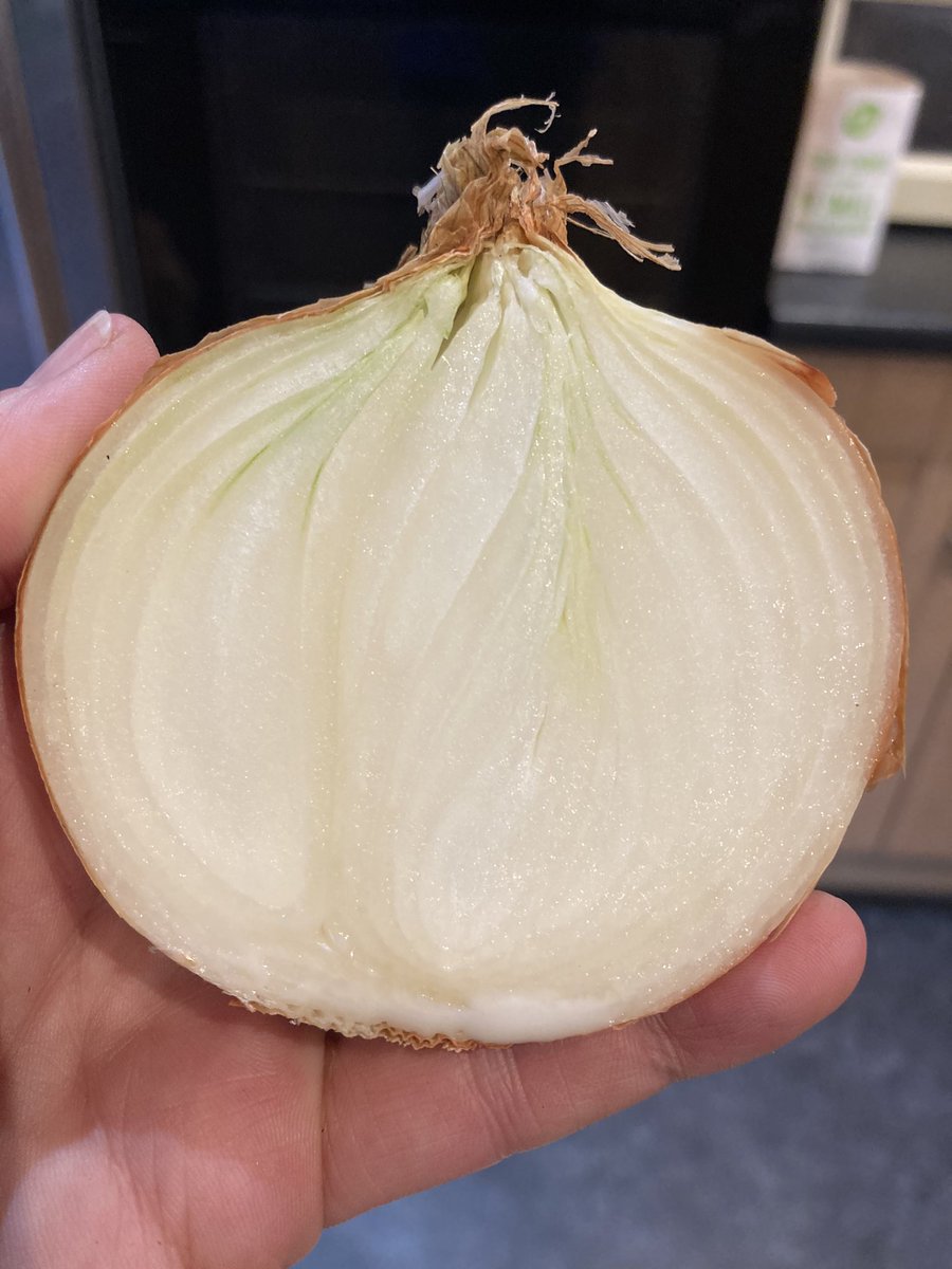wheelyal's tweet photo. Our health &amp; care system is like an onion!   Credit: @alisonflea for such a positive lens/analogy for me to analyse as a #transformationlead  Who, What, When, Why, How does each layer &amp; membrane add value, or not?  When is the onion most effective?  Thoughts pls ?#dogphotobomb https://t.co/7IQnSFPoAu