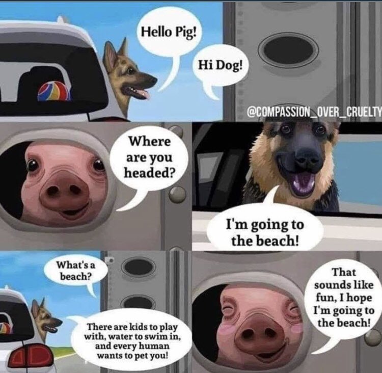 When people ask me why i’m vegan and i need to use pictures to explain 🤷🏾‍♂️ #GiveIt5minToSettle #Think  #GoVegan #Vegan #BeTheChange