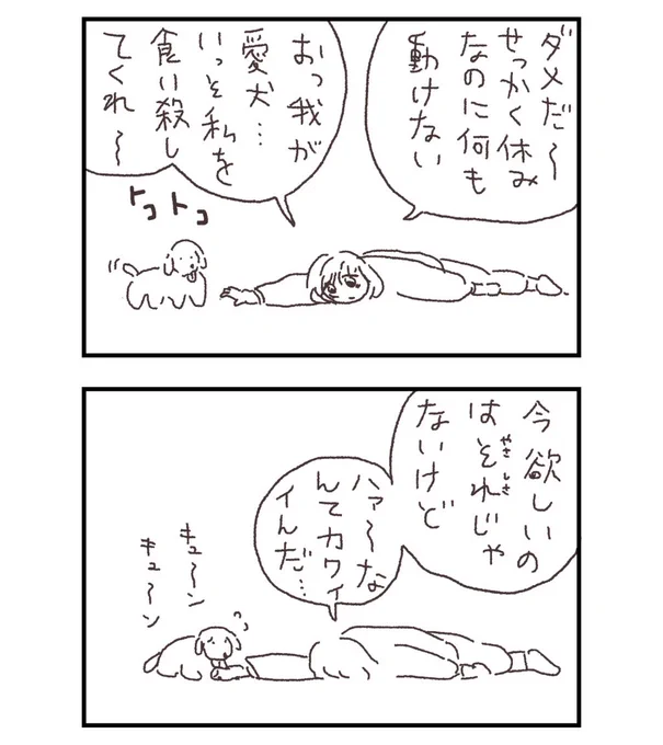 犬も食わない 