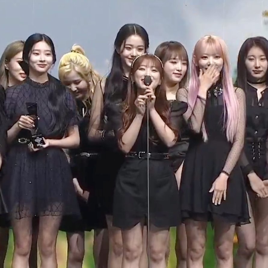 (Slow) BBearChae.'22 🐻🌲🦋🍬 tweet media