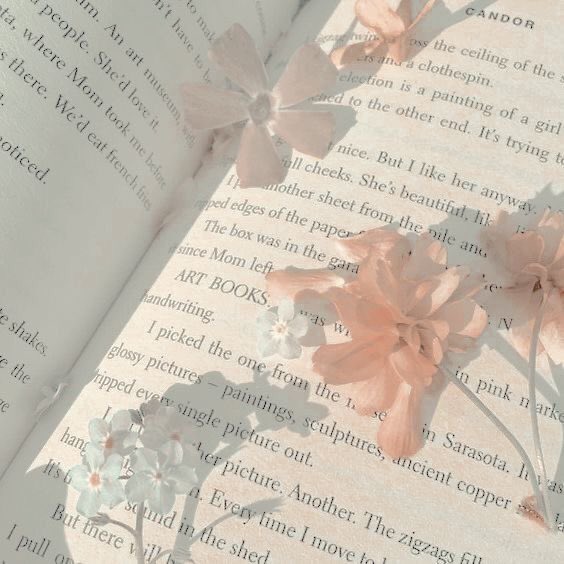 𓈒 ✿ 𝕡𝕝𝕠𝕪𝕗𝕠𝕟 ✿ 𓈒 tweet media