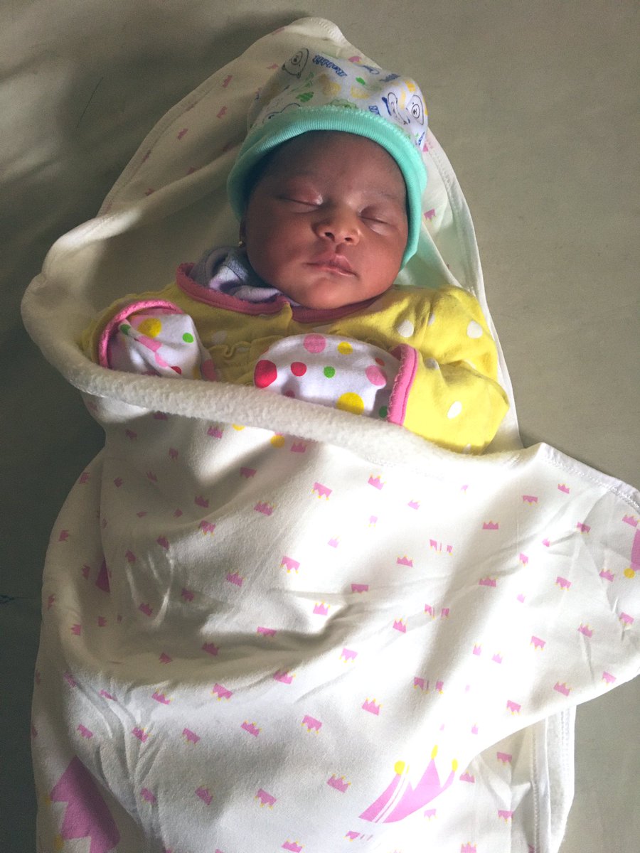 Chiblings_Code's tweet image. Welcome Home Queen🐅