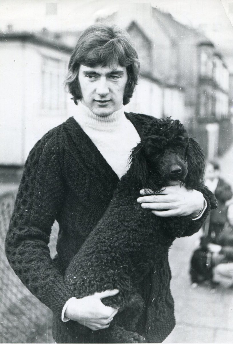#177 - A poodle would like you meet his Alan Hudson