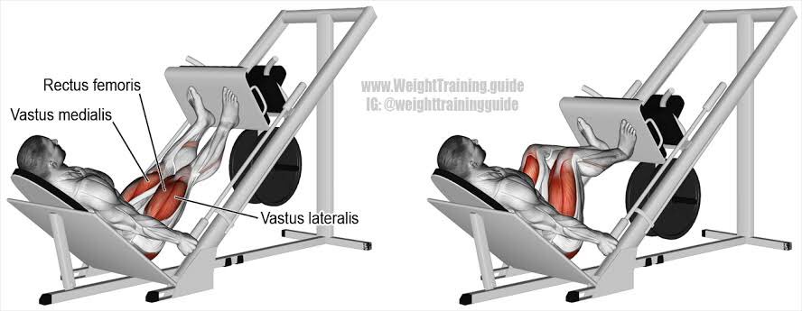 LEG die wkwk1. smith machine squat2. incline leg press 3. sled calf press3x12 repetisi