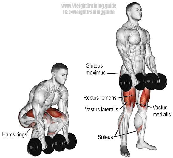 Finally nih, lanjut LEG1. dumbbell deadlift 2. lying leg curl3. leg extension3x12 repetisi