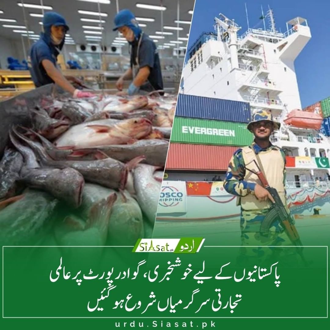 news_activity's tweet photo. International trade started in #GwadarPort
A good news for #Pakistan
#PakistanMovingForward #Pakistani #PakistanStrategyDay #PTIGovernment #احتیاط_ضروری_ہے
#Coronaviruspakistan
@PTIofficial
@siasatpk @Times https://t.co/Ov1CjhumRY