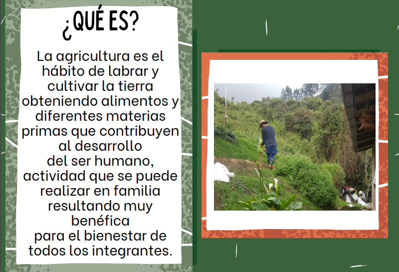 Laura Rodríguez Fajardo tweet media