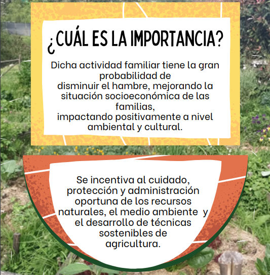 Laura Rodríguez Fajardo tweet media
