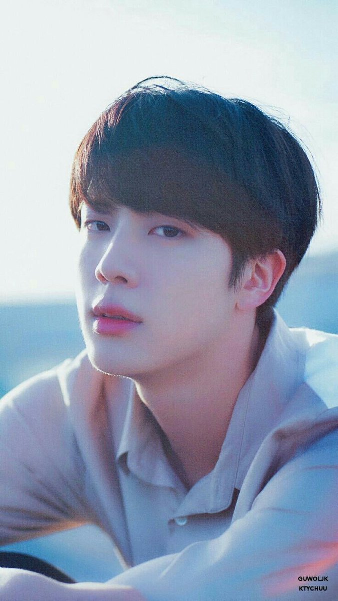 #1 NATURALLY ART FACE IN THE WORLD  #방탄소년단  #진  #석진  #방탄소년단진  #방탄진  #JIN  #SEOKJIN  #BTSJIN  @BTS_twt
