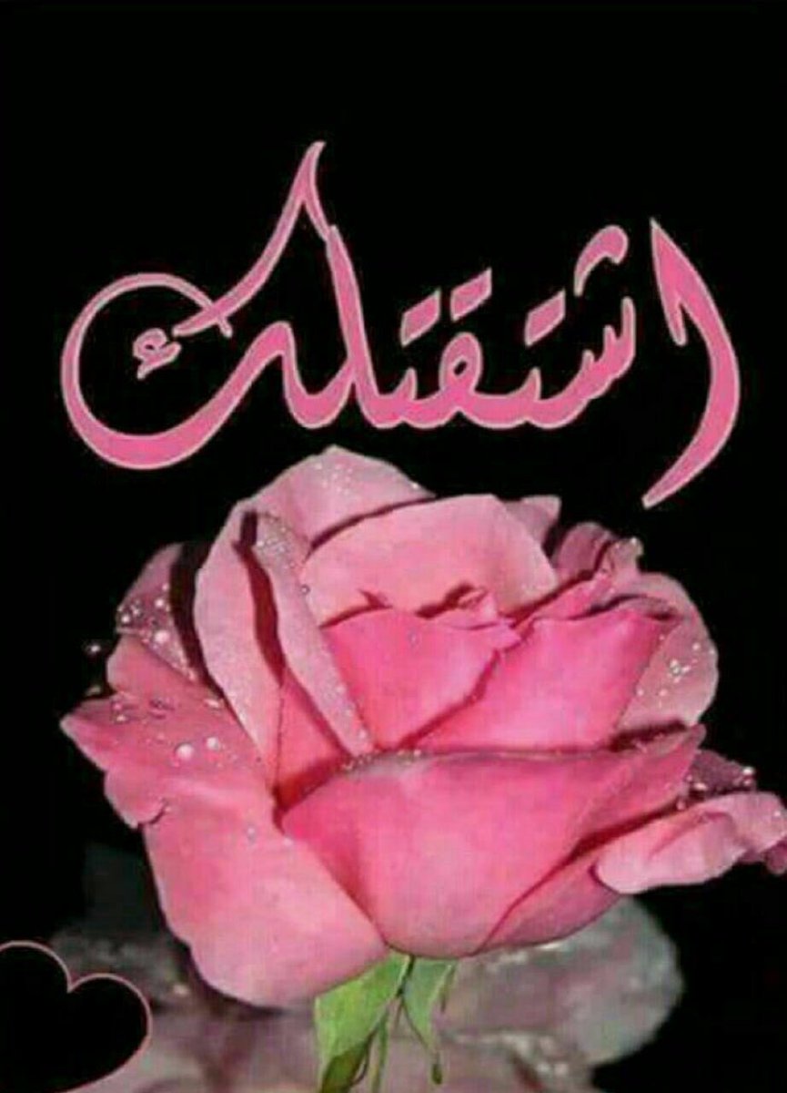 الشوق دايم أحسه بروحي يتسول 
وإن جابتك ساعةٍ أعشق ثوانيها

شفني على خبرها روحك مثل أول 
أقرا على صدري أنفاسك وأغانيها💞