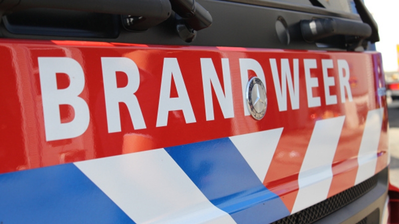 De politie heeft vrijdag 27 november 2020 op meerdere momenten haar handen vol gehad aan een 38-jarige man uit Breda.