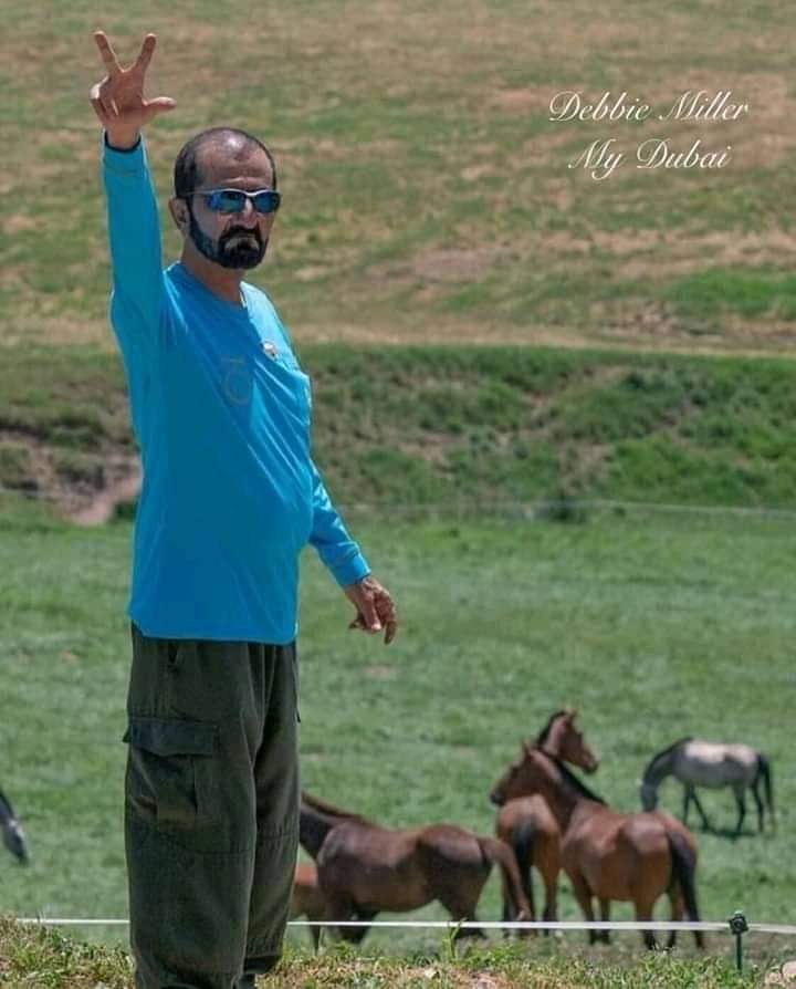 ZaeraJuma's tweet photo. @HHShkMohd العفو عن المقيمين السابقين بدبي للعودة إلى العمل https://t.co/cM6wQKw7Sz