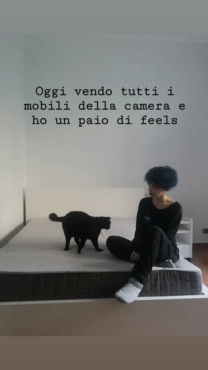 professional weirdo tweet media