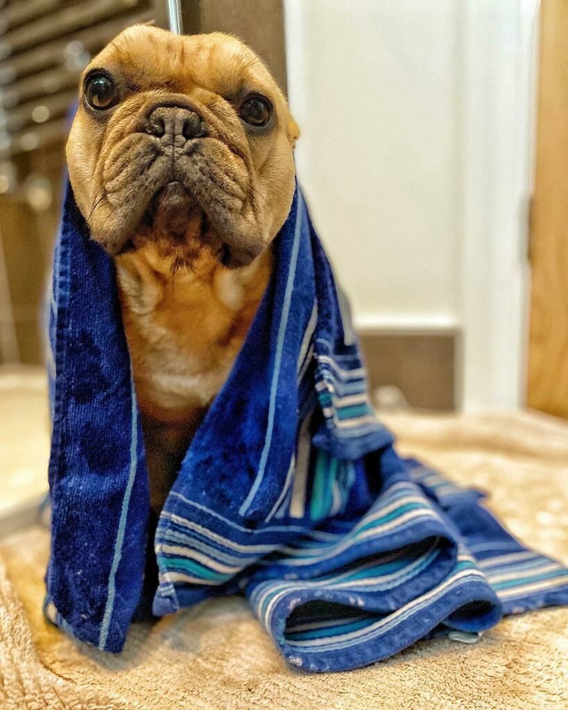 Stephen Rush tweet media