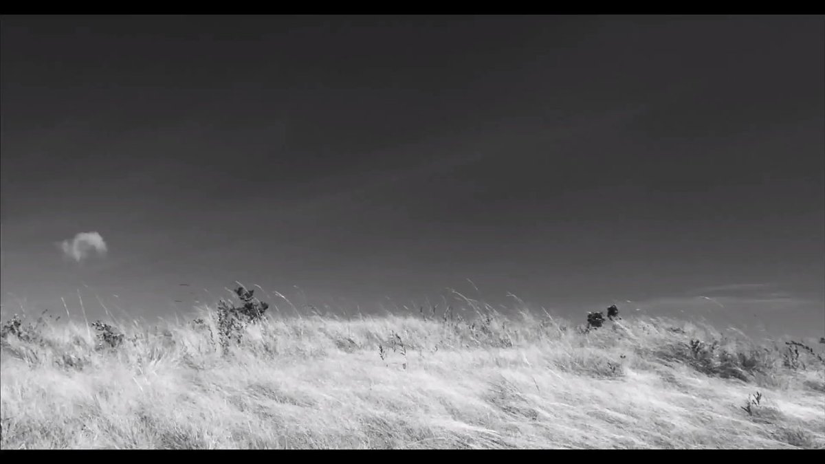 DandyBoyBrian's tweet photo. #LahiHayop #GenusPan- A minor work of Lav Diaz in the grand scheme of things. And yet it still works - meditative with characters that muted by fear and violence. #QCinema2020 https://t.co/lHT2ZIXpq6