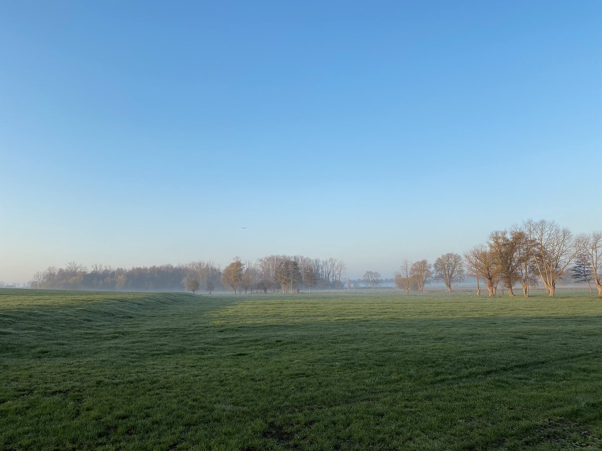 python_pictures's tweet image. #vrtweer