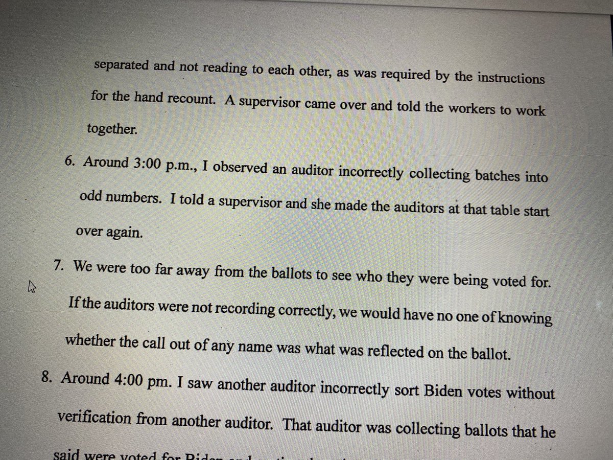 The rest (about 10 affidavits of the total 30ish) describe grievances from poll monitors during the recount.One gripes about “perfect bubbles.”Another, about “lying”. A third notes an issue that recount workers were alerted to ... then just fixed the problem. Period.