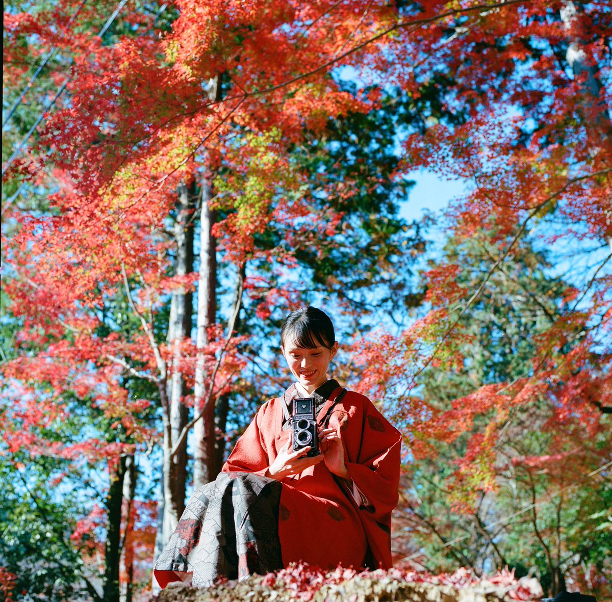 Drum_ShinKokawa's tweet photo. 秋を撮って来た🍁
#コカ山紀信
#hassleblad #hasselblad500cm #ハッセルブラッド #hasselblad_official #fujifilm #kodak #snap #film_jp #flickr #instagood #ink361 #instadaily #Colors_of_day #group6x6 #landscape #oldlens_tokyo #filmcamera #tokyocameraclub #portrait #photo #portra400 https://t.co/3sXtC1Fm9U