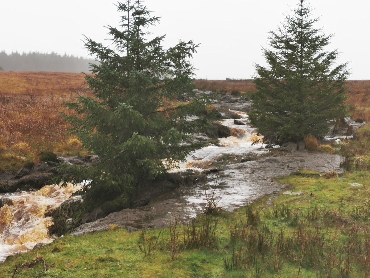 finnvalleywind's tweet photo. @coilltenews #recreation #winterwalks we in #Donegal at #BarnesmoreGap at #Meenbog #bogslide walks we all treasured and loved blocked off by security guards for #windfarm on #Coillte land now a flowing #bog into rivers in #NorthernIreland how do you explain this to our children https://t.co/fgR0f7BGxq
