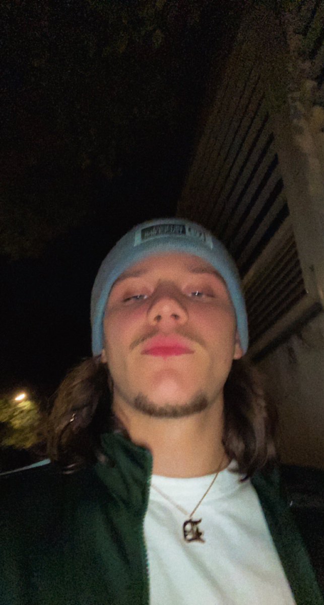 devdevlelion's tweet image. 𝔇