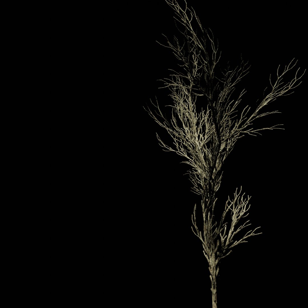5agado's tweet photo. Some stills 

#b3d #nodevember2020 #lsystems https://t.co/weNssHYqaZ
