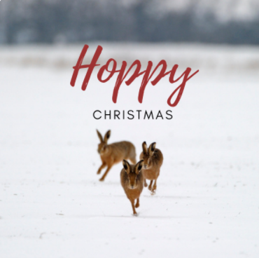 SomersetWT's tweet photo. Our charity e-cards have raised over £1,500 since we launched them this time last year, and we’ve just launched our brand new range! 🎅❄️They raise funds &amp; save paper too. Check them out 👉 https://t.co/Tzw24jiT2q @dontsendmeacard @AvalonMarshes @g_stokes18 @WildlifeTrusts https://t.co/WaaRt67Trq