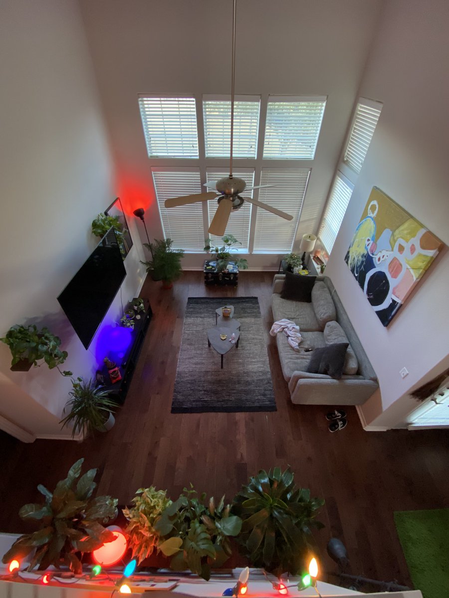 notsoPDX's tweet photo. More plants, more art. https://t.co/93INpBixvf