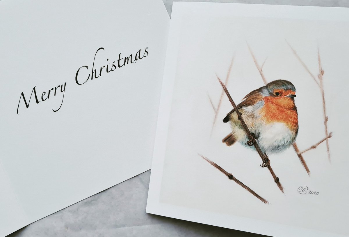 My cards have finally arrived! 1 x 6 pack £9 and 1 x 12 pack £16. 10% as ever will go to wildlife conservation .. this time to the RSPB. All are available on my website

#robin #christmas #cards #greetingcards #goodtidings #rspb #conservation #artcards #artist #wildlifeartist