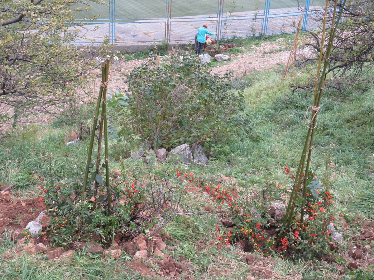 Rijeka2020's tweet photo. Građani nastavljaju oplemenjivati zelenu površinu u ulici Vitomira Širole Paje ukrasnim i jestivim biljem te postavljanjem dodatnih klupica! 🌿 #ZeleniVal #Rijeka2020 #EPK2020 https://t.co/DoHBLY1XQs